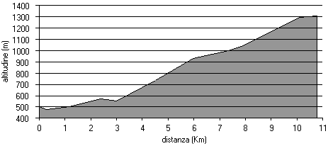altimetria