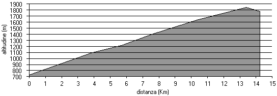 altimetria