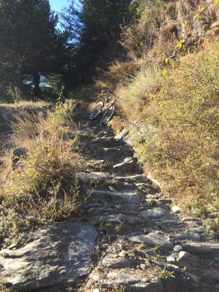 variante