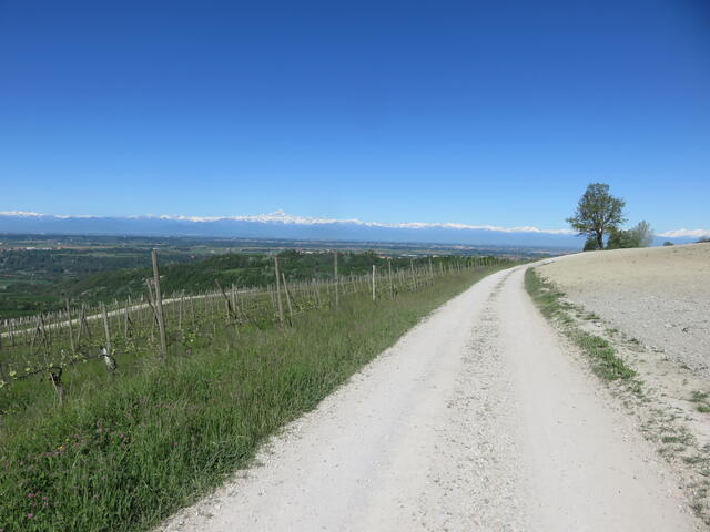 bellissimo panorama sul Monviso