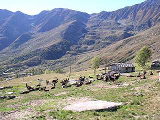 Palà (val Luserna)